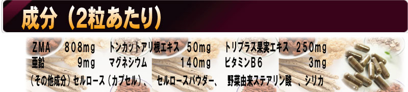 ドクター松下が超お薦めする性欲・精力アップサプリメント